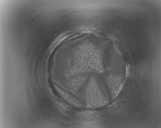 X0000055970291200509162206