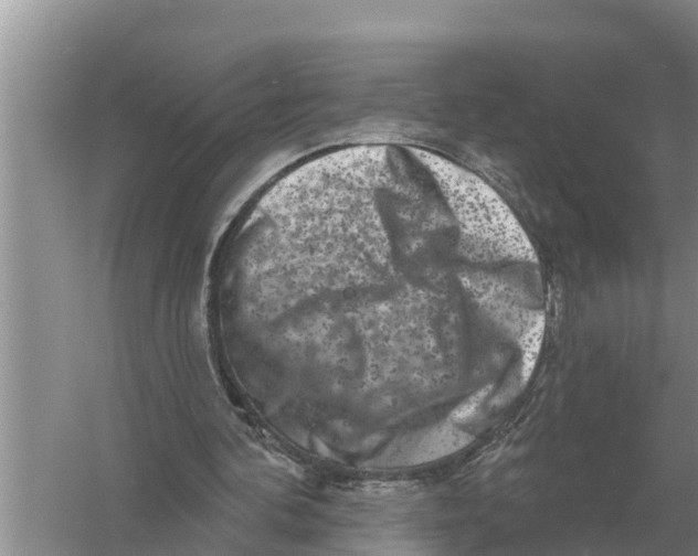 X0000055970292200509162206