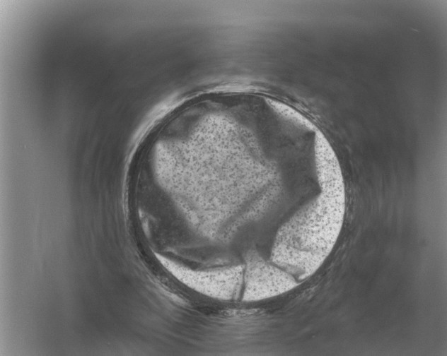 X0000055970296200509162205