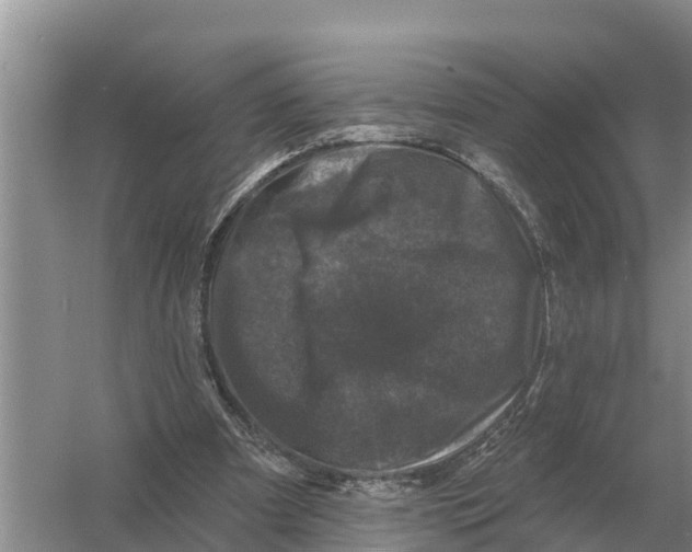 X0000055970297200509162205