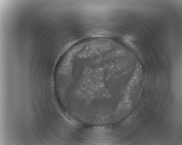 X0000055970298200509162205