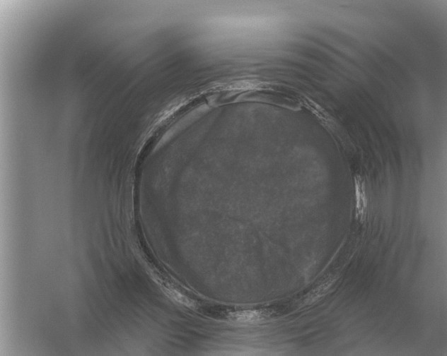 X0000055970301200509162205