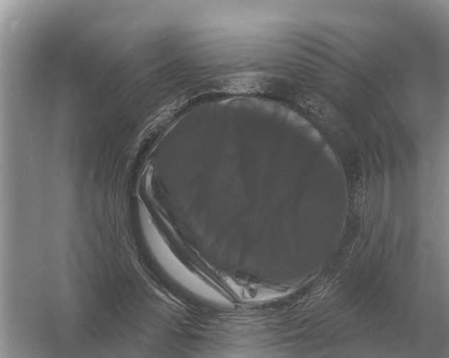 X0000055970303200509162205