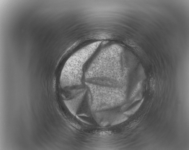 X0000055970304200509162205