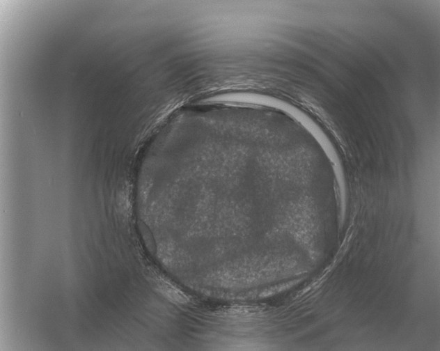 X0000055970305200509162205