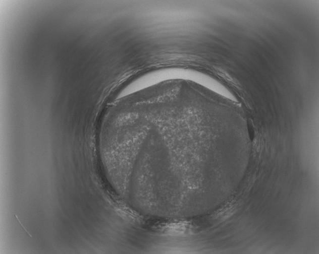 X0000055970306200509162205