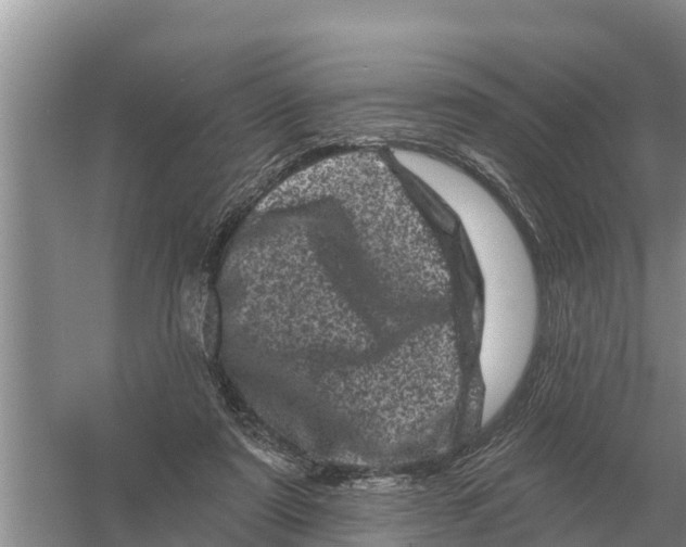 X0000055970307200509162205