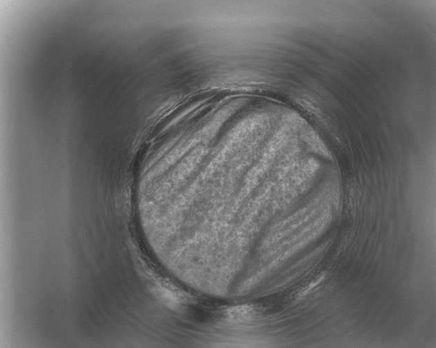 X0000055970309200509162205