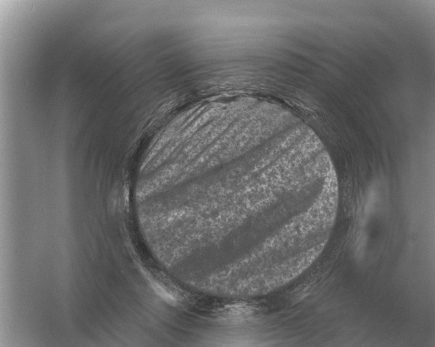 X0000055970310200509162205