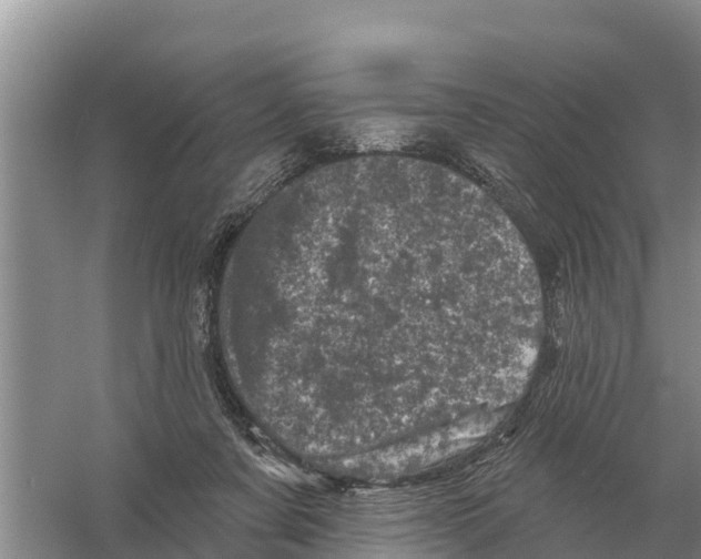 X0000055970311200509162205