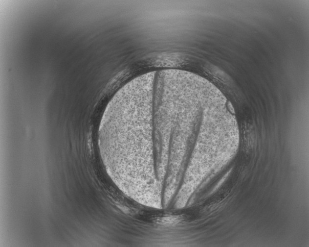 X0000055970312200509162205