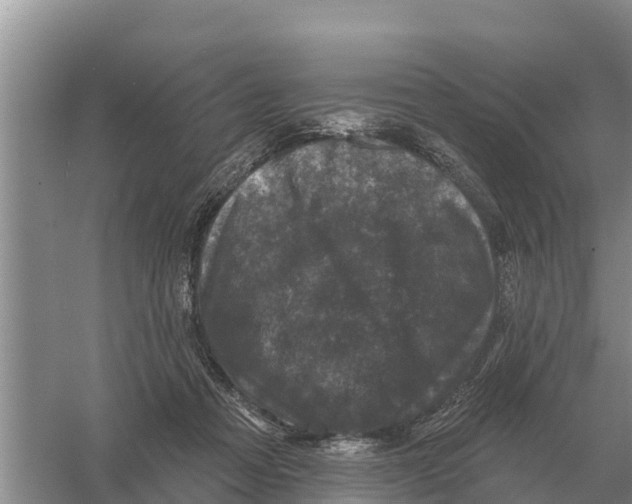 X0000055970313200509162205