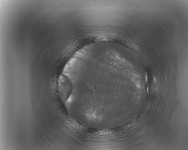 X0000055970314200509162205