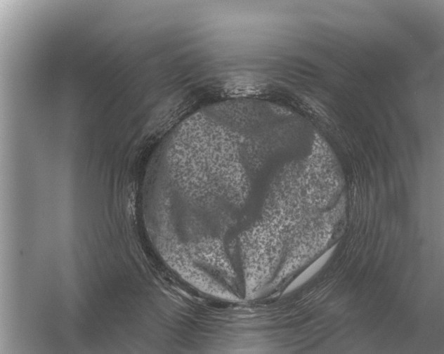 X0000055970315200509162205