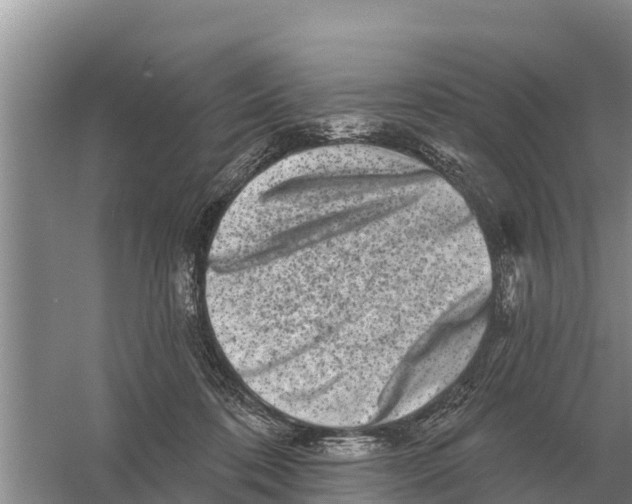 X0000055970316200509162205