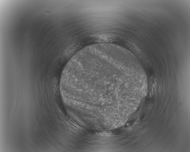 X0000055970318200509162205