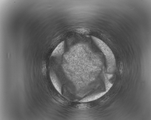 X0000055970320200509162205