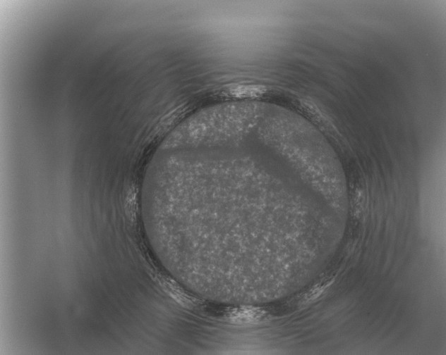 X0000055970321200509162205