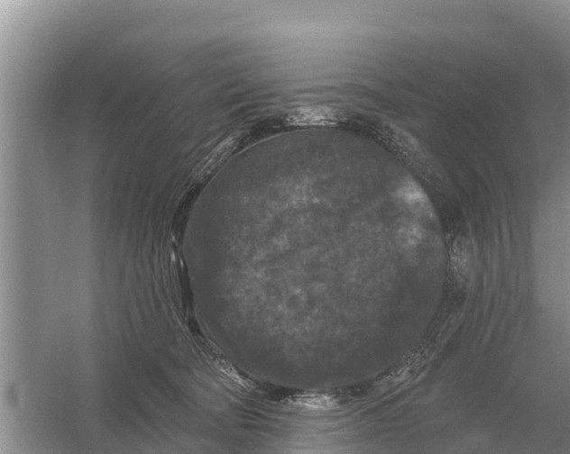 X0000055970322200509162205