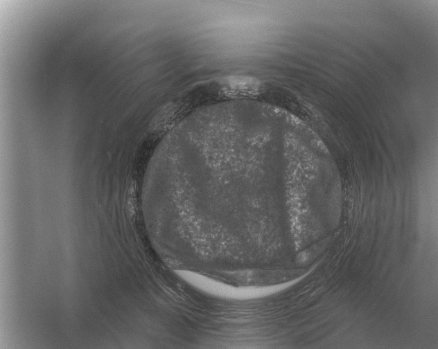 X0000055970323200509162205