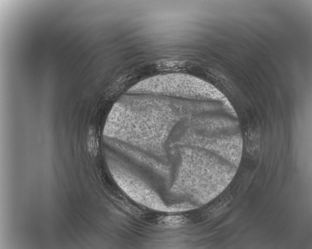 X0000055970324200509162205