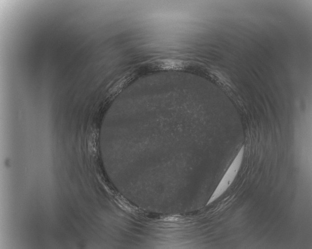 X0000055970325200509162205