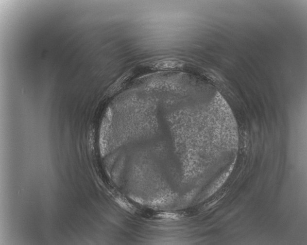 X0000055970326200509162205