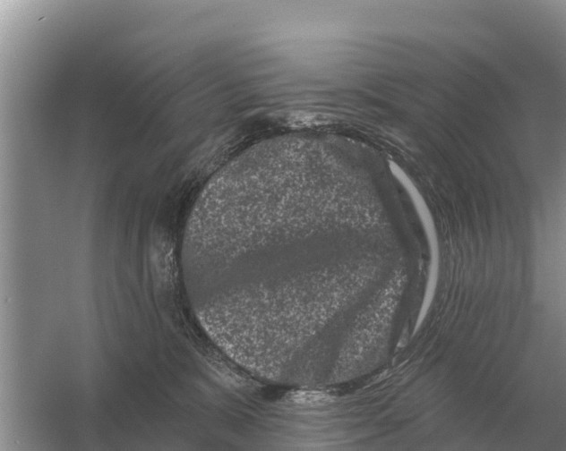 X0000055970327200509162205