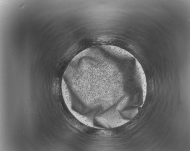 X0000055970328200509162205