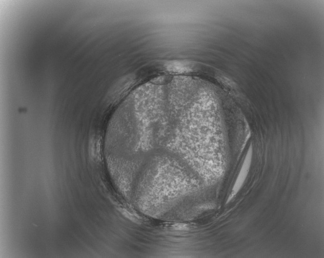 X0000055970330200509162205