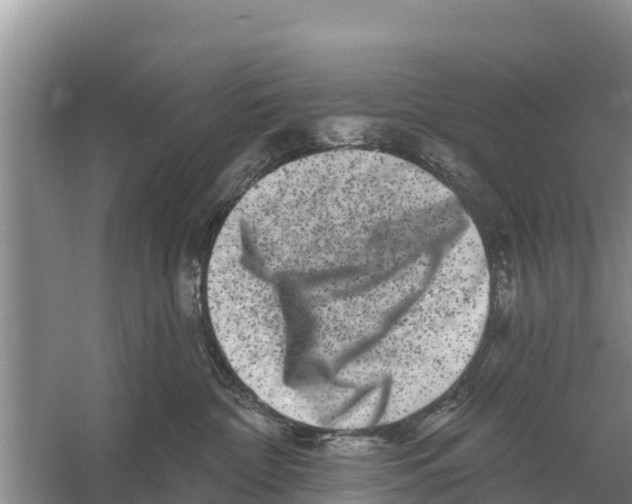 X0000055970332200509162205