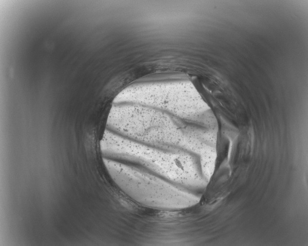 X0000055970333200509162205