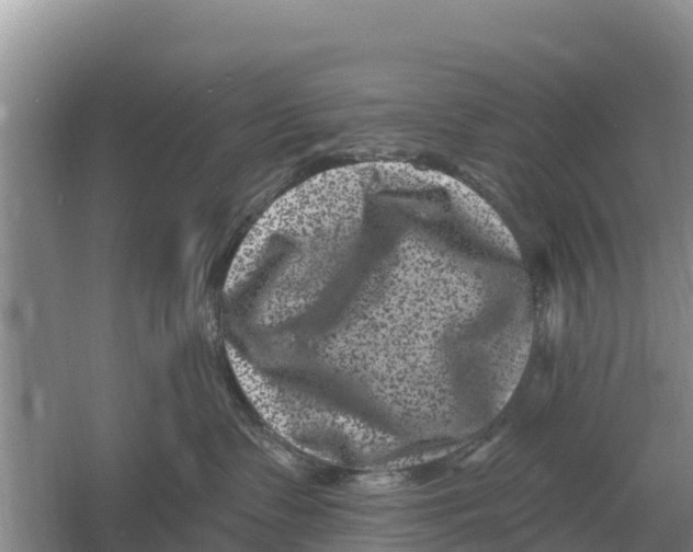 X0000055970335200509162205