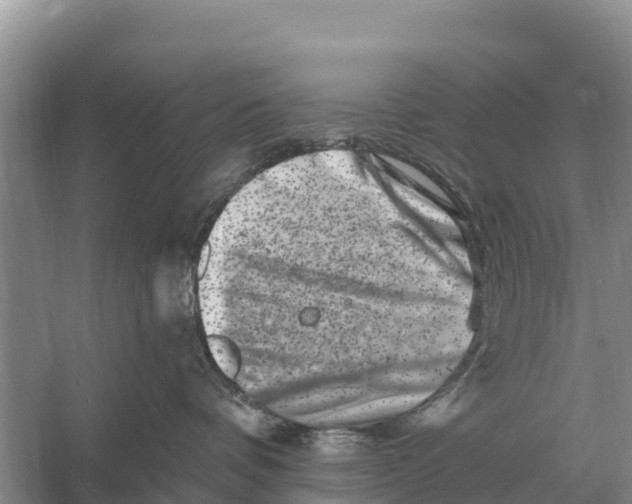 X0000055970336200509162205