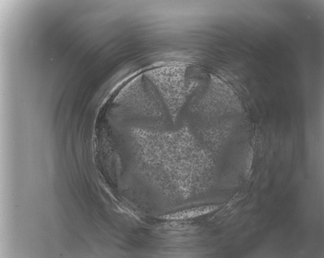 X0000055970338200509162204