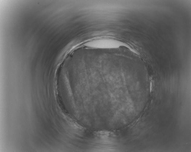 X0000055970339200509162204