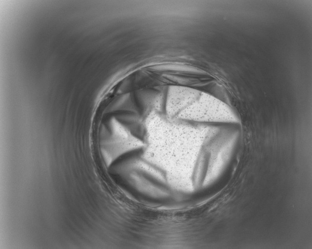 X0000055970340200509162204