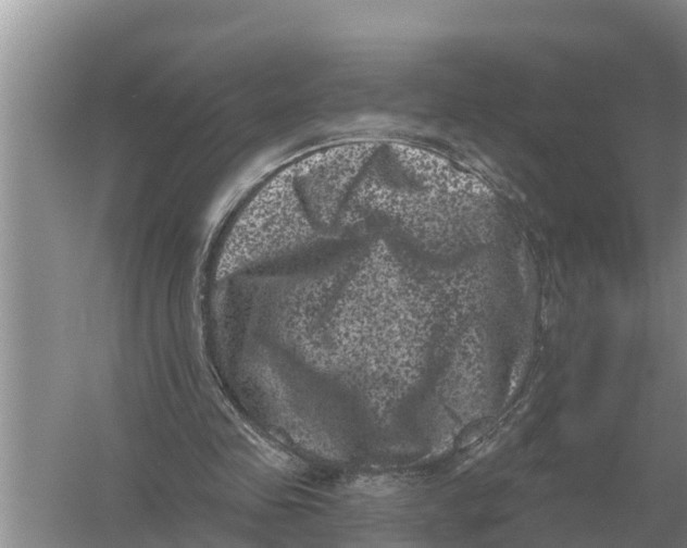 X0000055970341200509162204