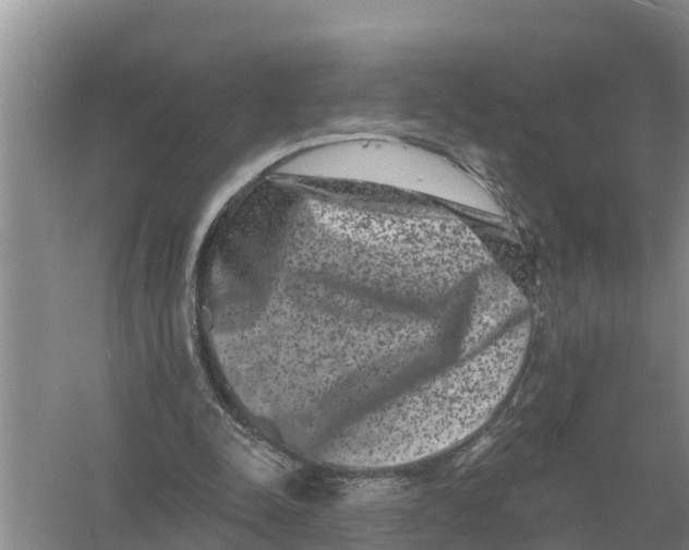 X0000055970342200509162204