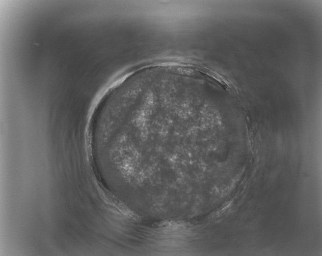 X0000055970343200509162204