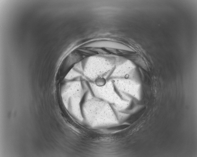 X0000055970344200509162204