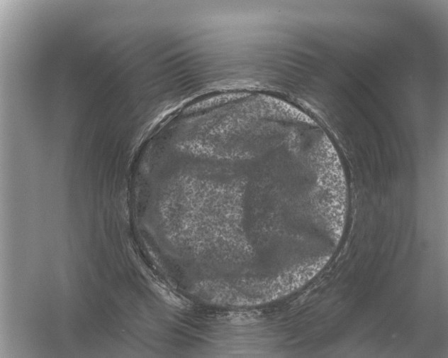 X0000055970345200509162204