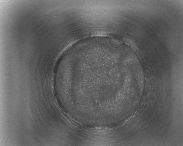 X0000055970346200509162204