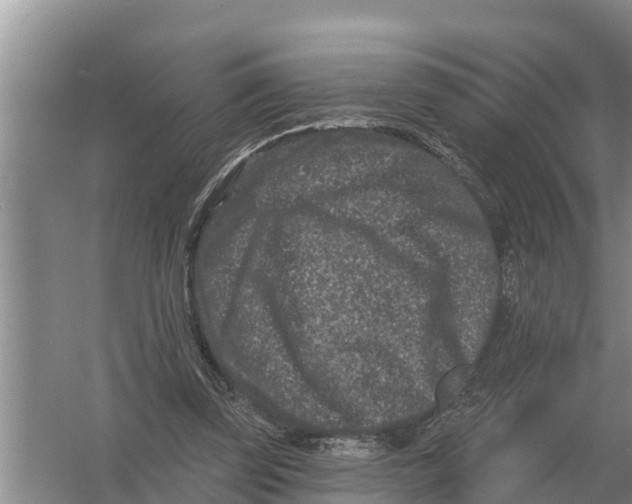 X0000055970347200509162204