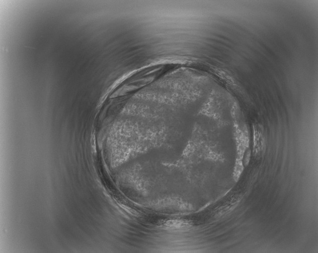 X0000055970348200509162204