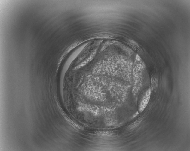 X0000055970349200509162204