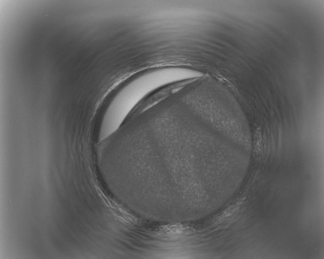 X0000055970351200509162204