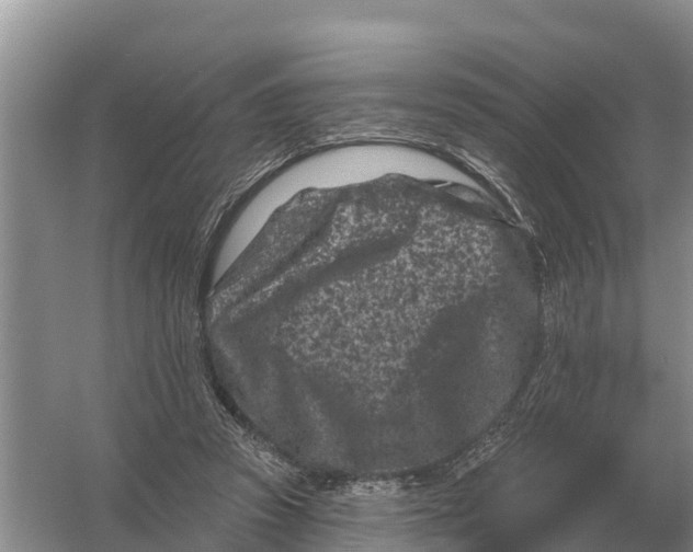 X0000055970353200509162204