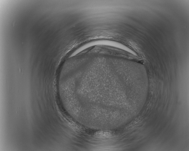 X0000055970354200509162204