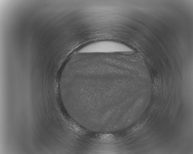 X0000055970355200509162204